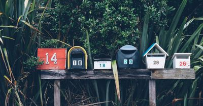 Der elektronische Postbote: Welche E-Mail-Verteiler sind für Vereine geeignet? Unsere Top 3