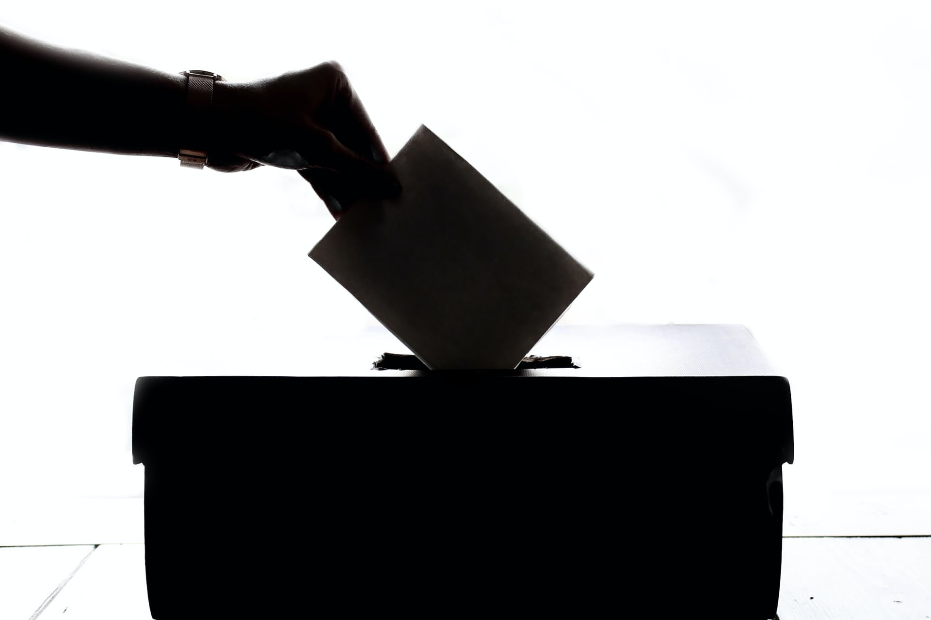Online Voting Setup